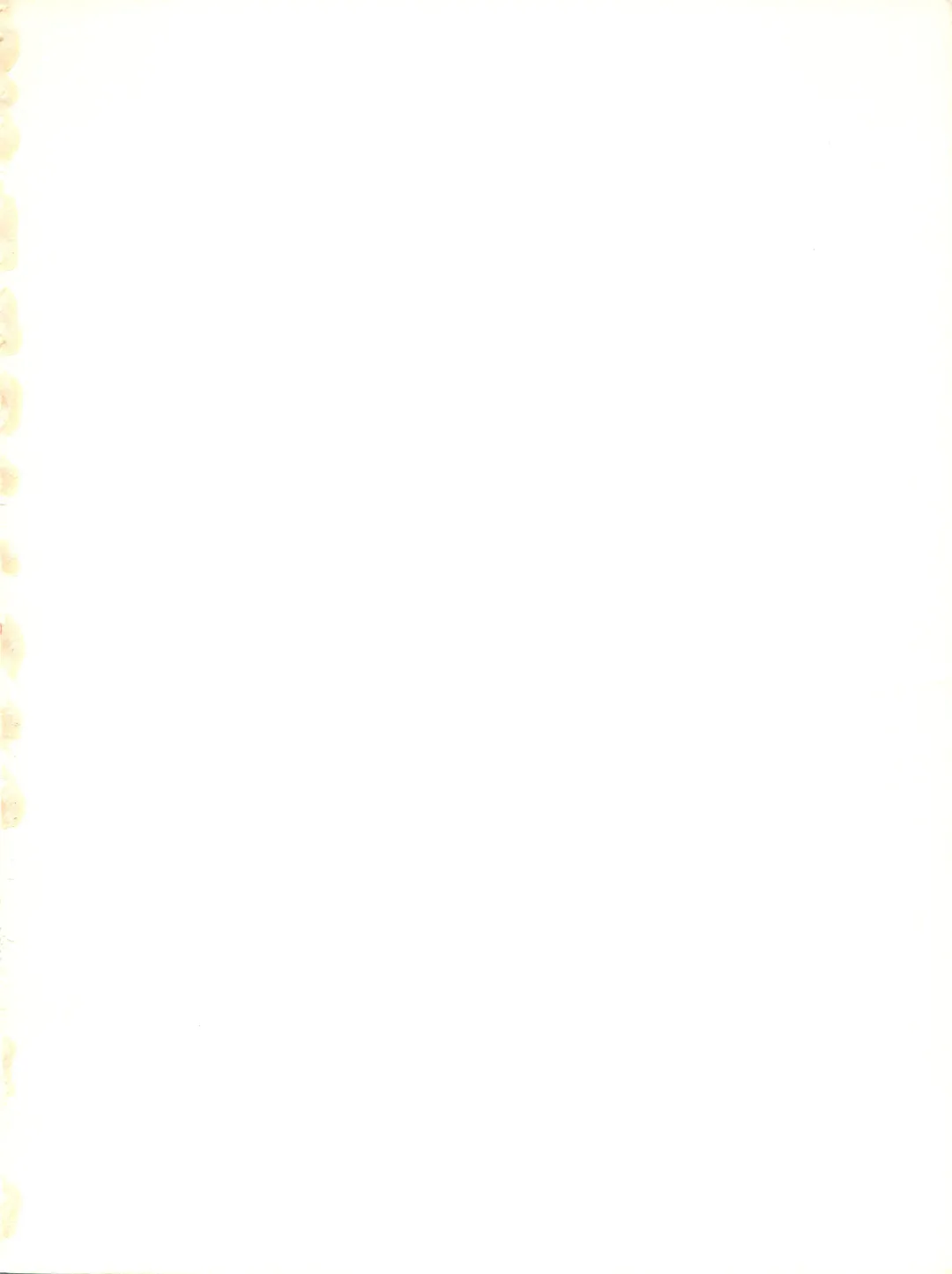 [Alex - Kaya Y] Natsu no Arashi Fhentai - Page 2