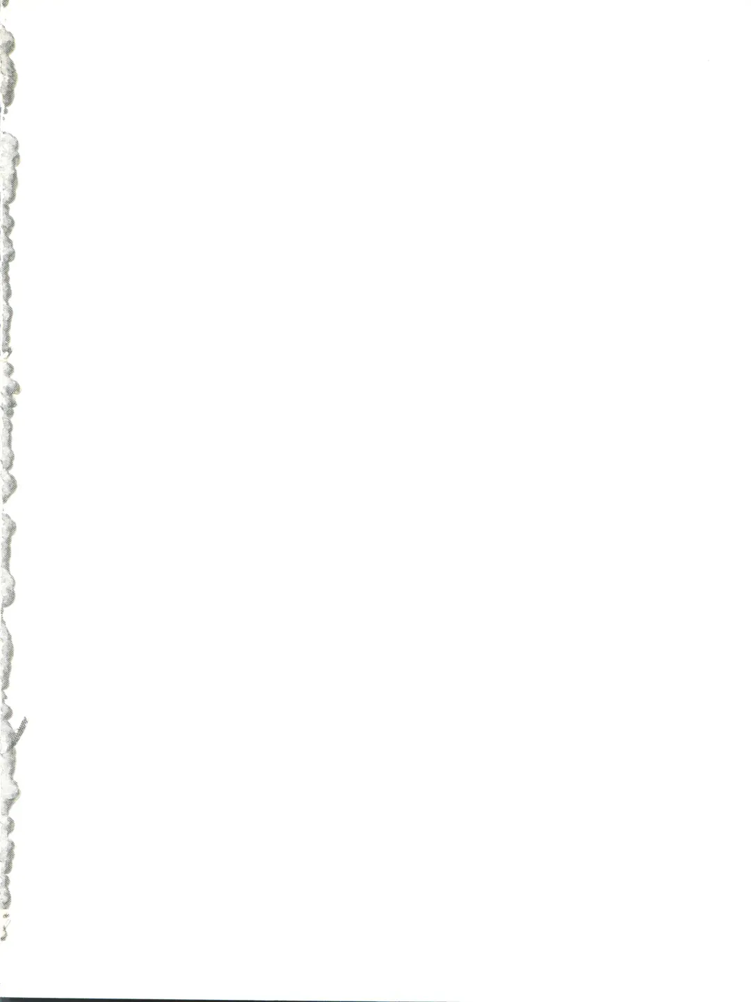 [Araki Akira] Elfin R Fhentai - Page 2