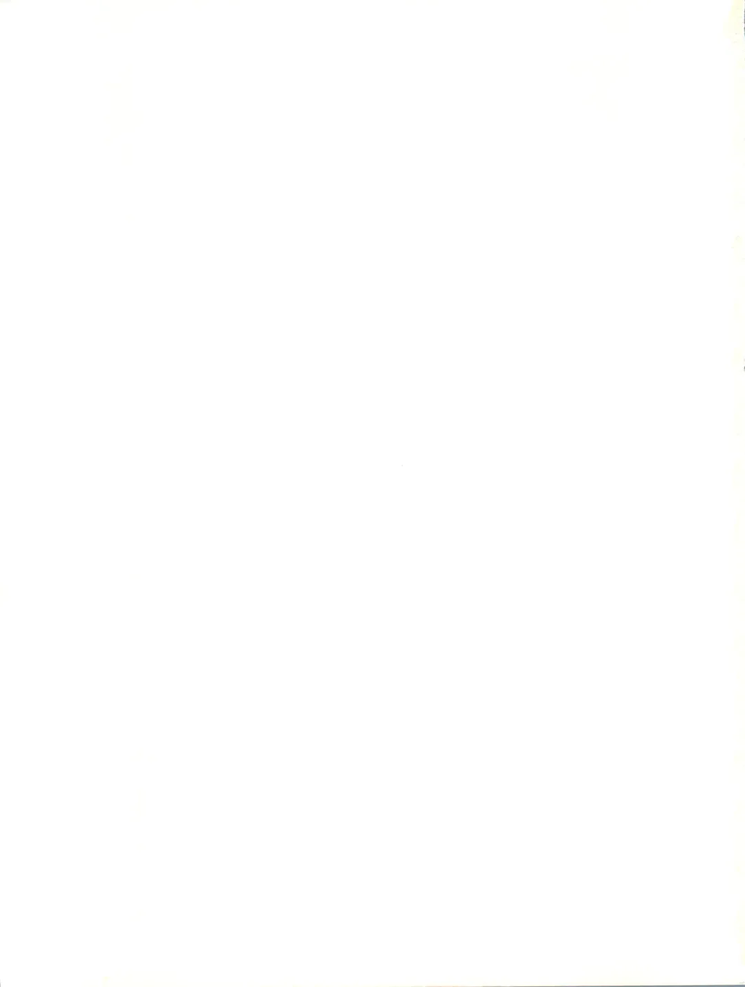 [Araki Akira] Elfin R Fhentai - Page 99