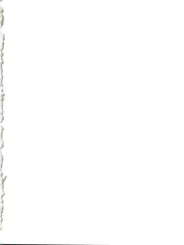 [Araki Akira] Elfin R Fhentai - Page 2