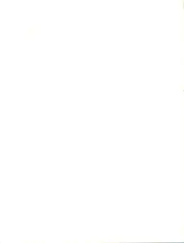 [Araki Akira] Elfin R Fhentai - Page 99