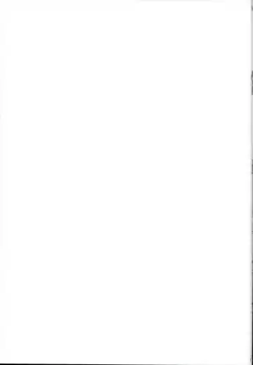 [Geko] Fate-chan Detonation Fhentai - Page 19