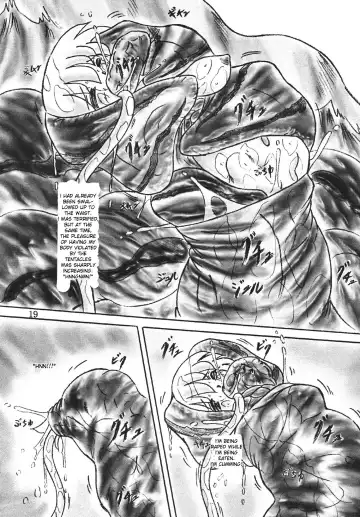 [Sumomo Ex] Shinju Shimai | Pearl Sisters Fhentai - Page 18