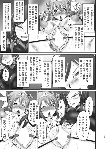 [Ryutou] Raygis Valicess Elsain "Hajigyaku no Reigokutou" Fhentai - Page 18