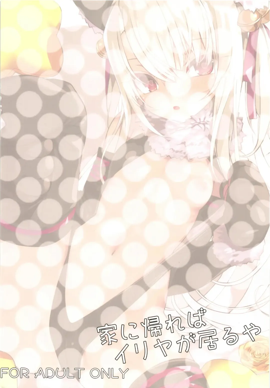 [Ogadenmon] Ie ni Kaereba Illya ga Iru ya Fhentai - Page 28