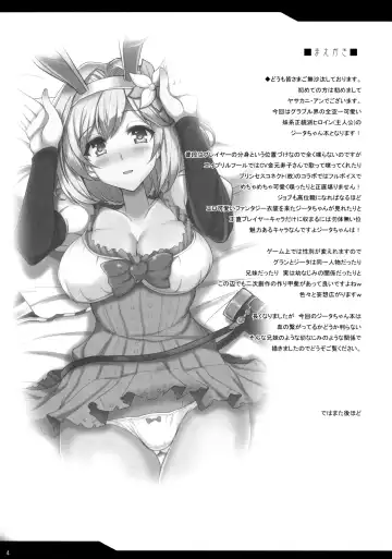 [Yasakani An] Djeeta x Gra Strike Fhentai - Page 3