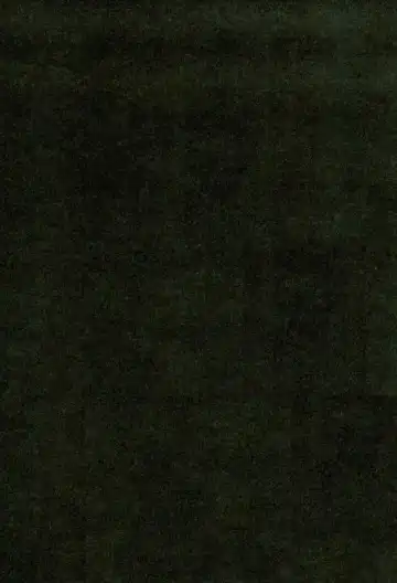 [Chidori] First Night Fhentai - Page 3