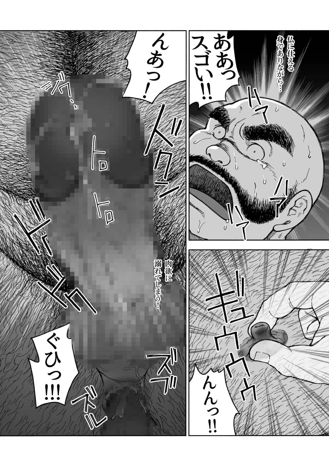 [Hiko] Hitoyodogi Fhentai - Page 30