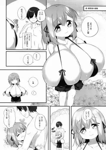 [Pedocchi] Imouto ni Hasamarete Shiawasedesho? 3 Fhentai.net - Page 14