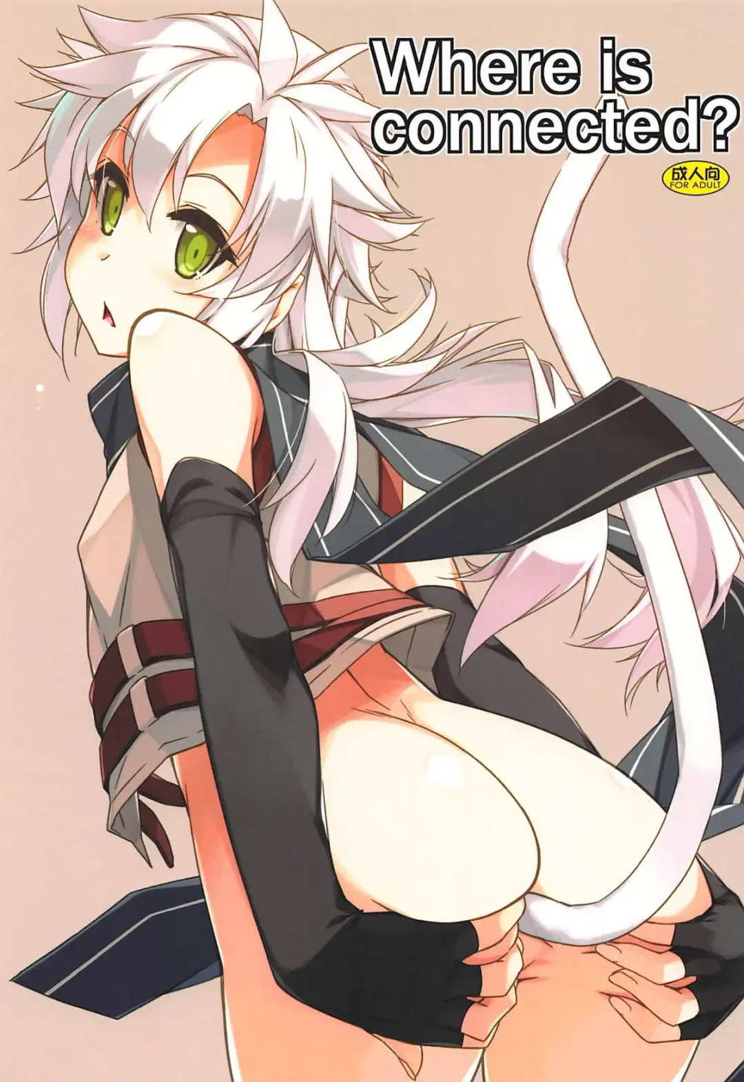 [Shikei] Where is connected? Fhentai - Page 1