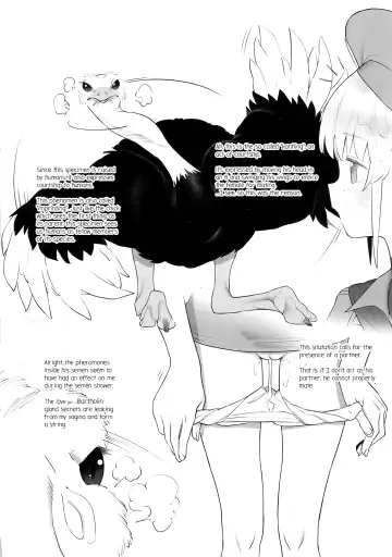 [Xxzero] Tori no Kimochi Ii Fhentai - Page 8