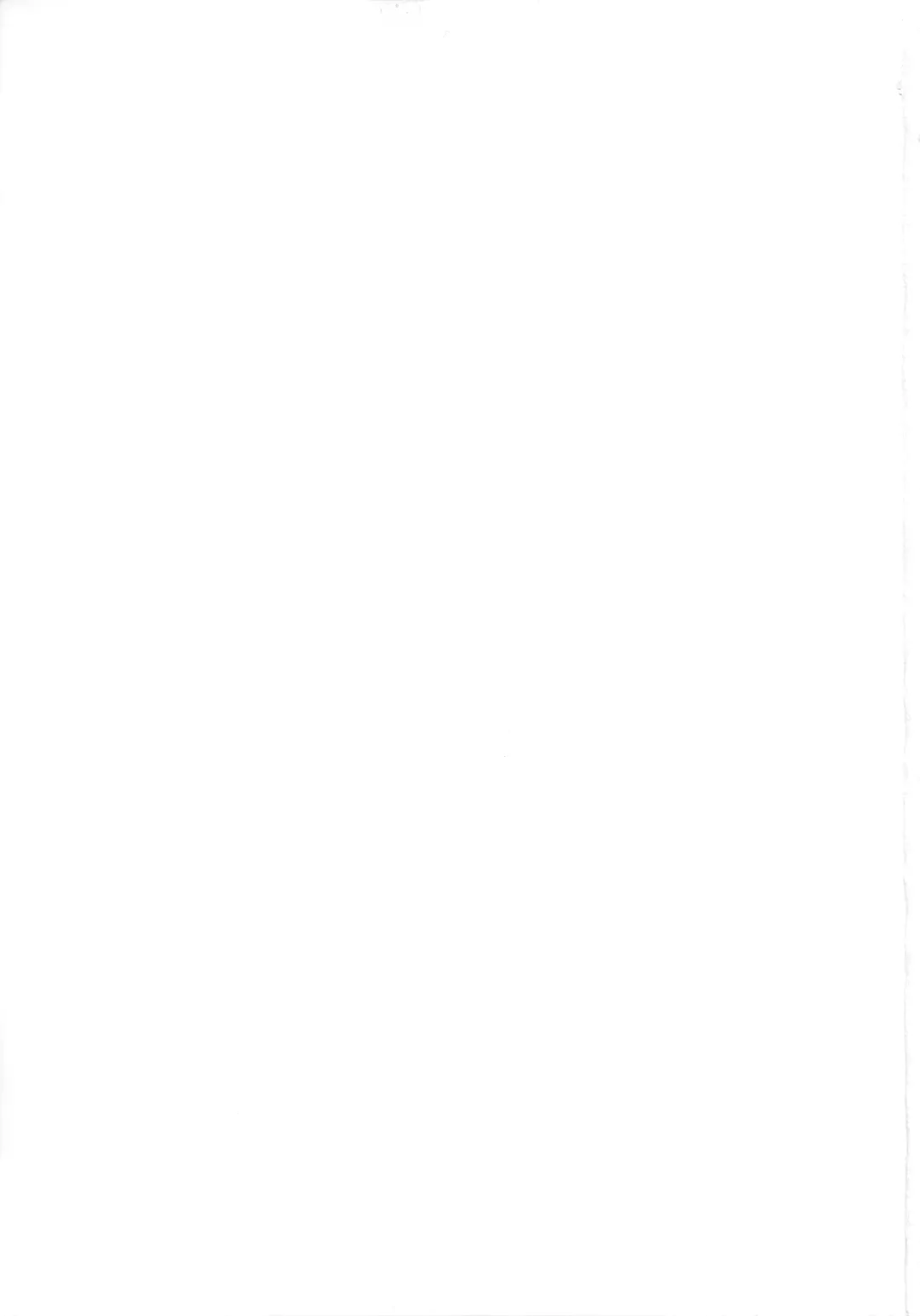 [Bobca - Shiratama Moti] Suzuran no Hanakotoba Fhentai - Page 31