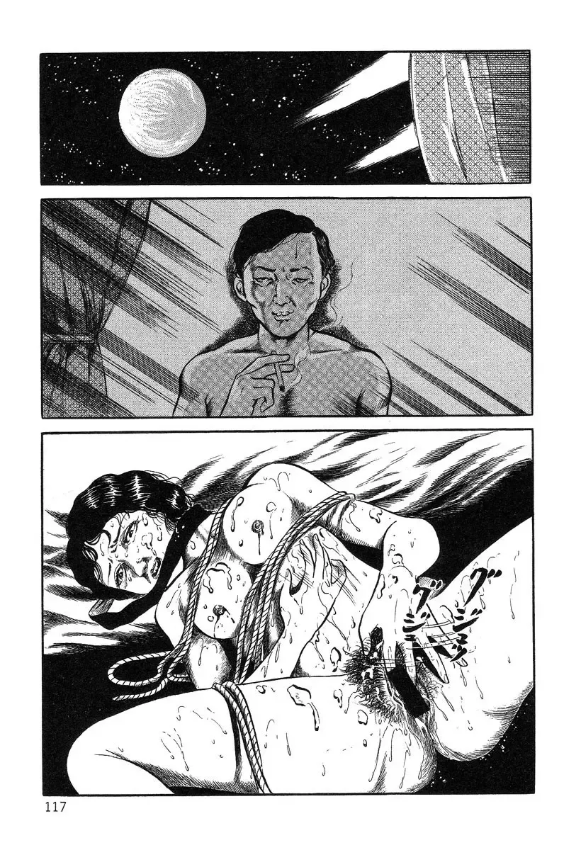 [Hayami Jun] Utsukushiki Kussetsu | Beautiful Imprint Fhentai - Page 117