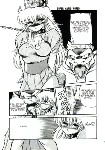 [Horikawa Gorou] Super Mario Collection Fhentai - Page 20
