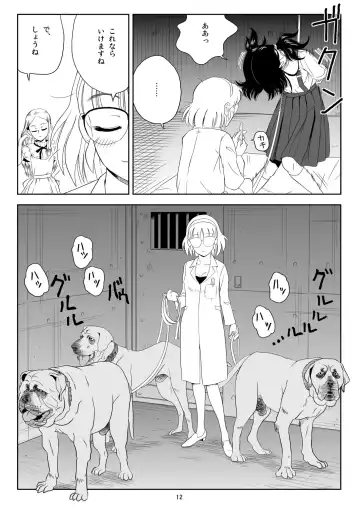 [Sumita Saiki] Reijou Kemono Hen Fhentai - Page 11