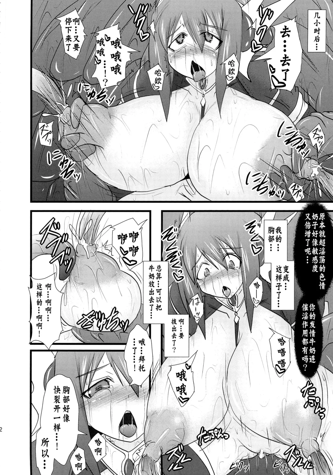 [Ryutou] Shield Knight Elsain Vol. 12 NETHER LABORATORY 2 Fhentai.net - Page 21