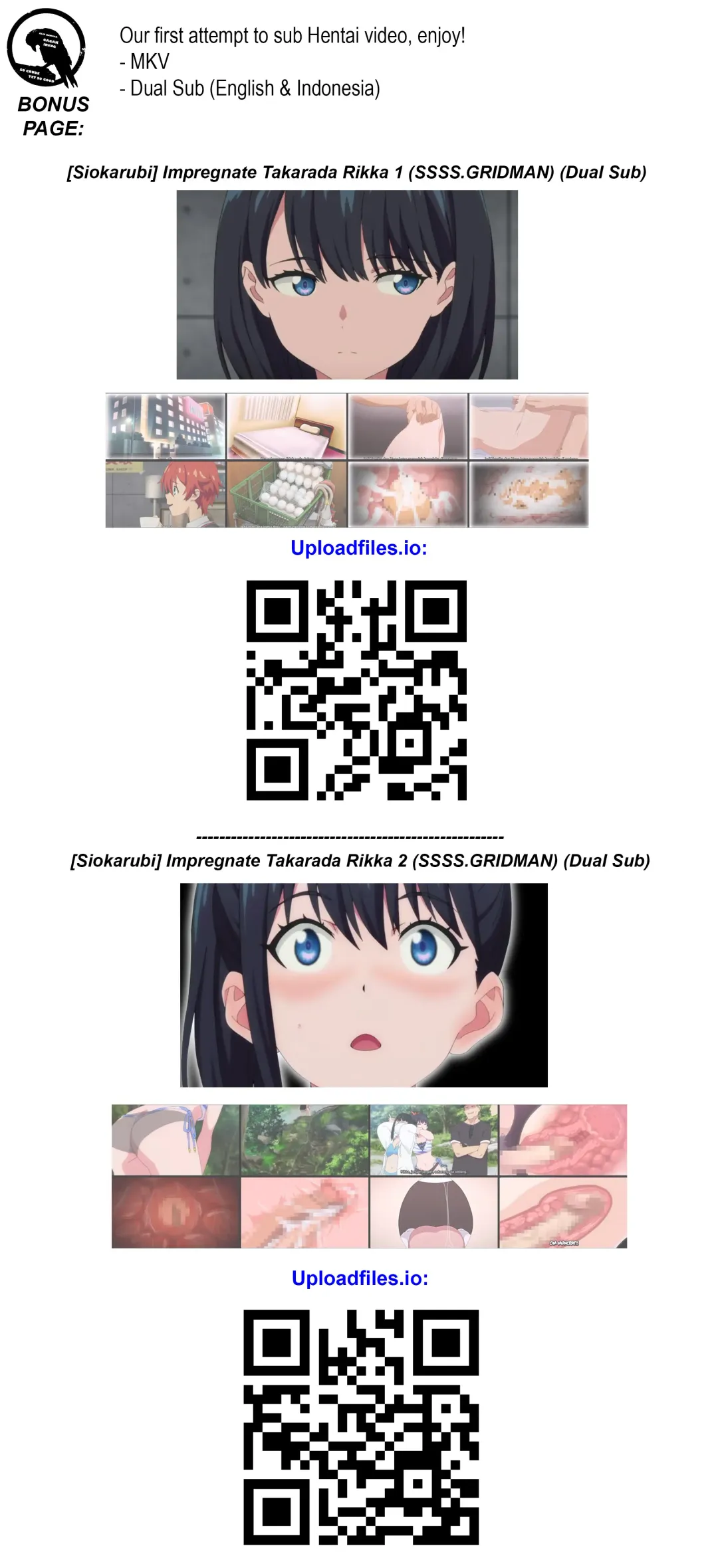 [Dokokano Aitsu] Iroiro Dive Fhentai - Page 17