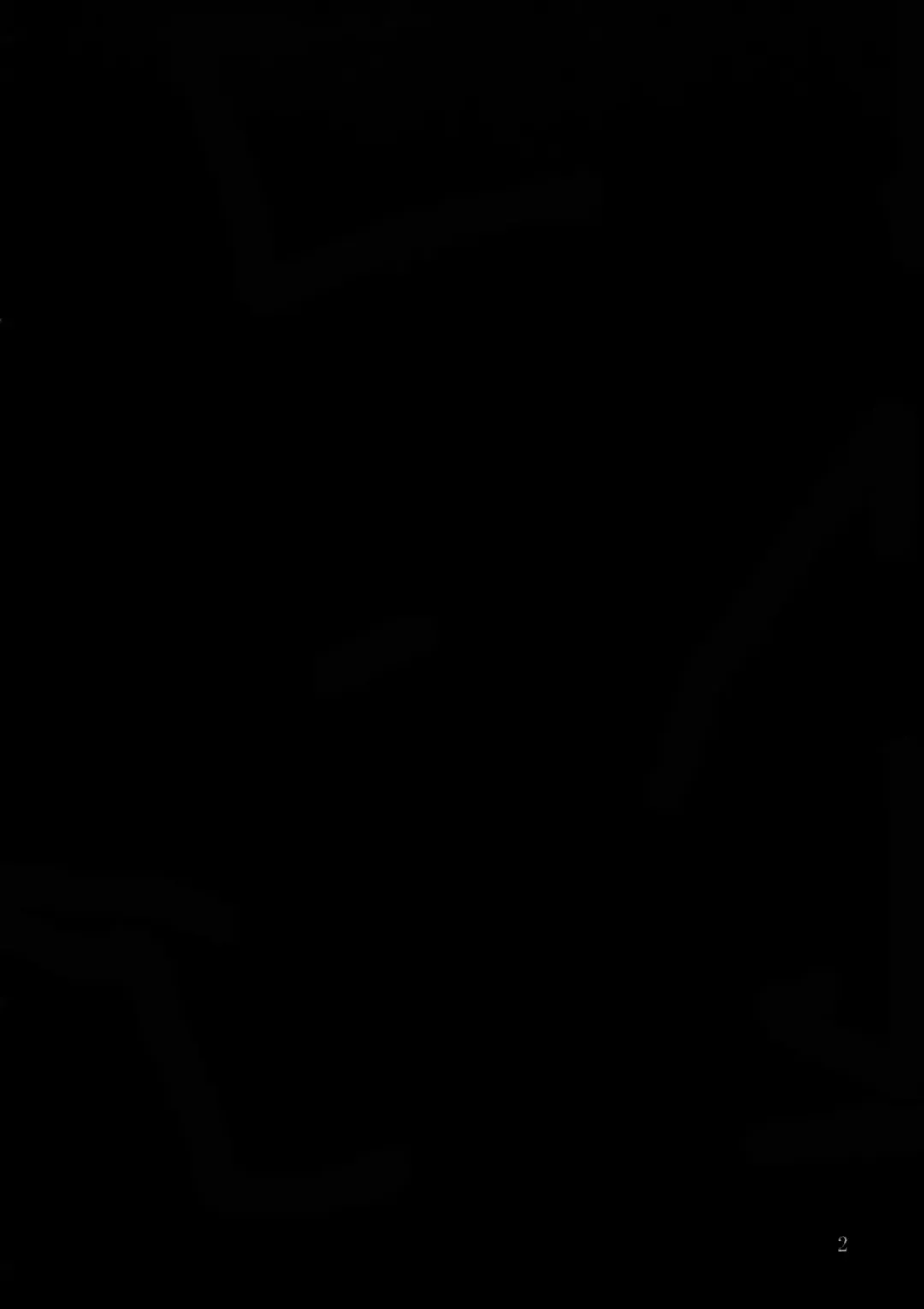 [Ken] Gentei Hon Fhentai - Page 2