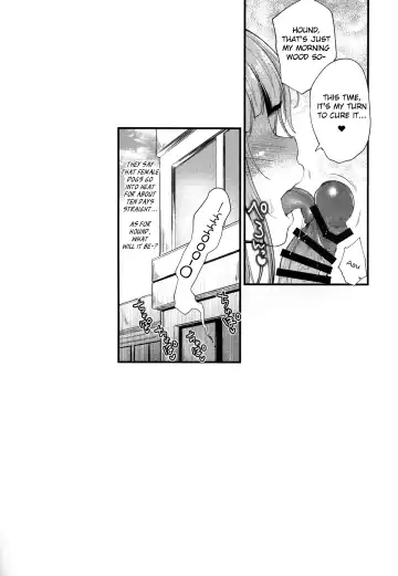 [Oohira Sunset] Hatsujou Wanwan Fhentai.net - Page 20