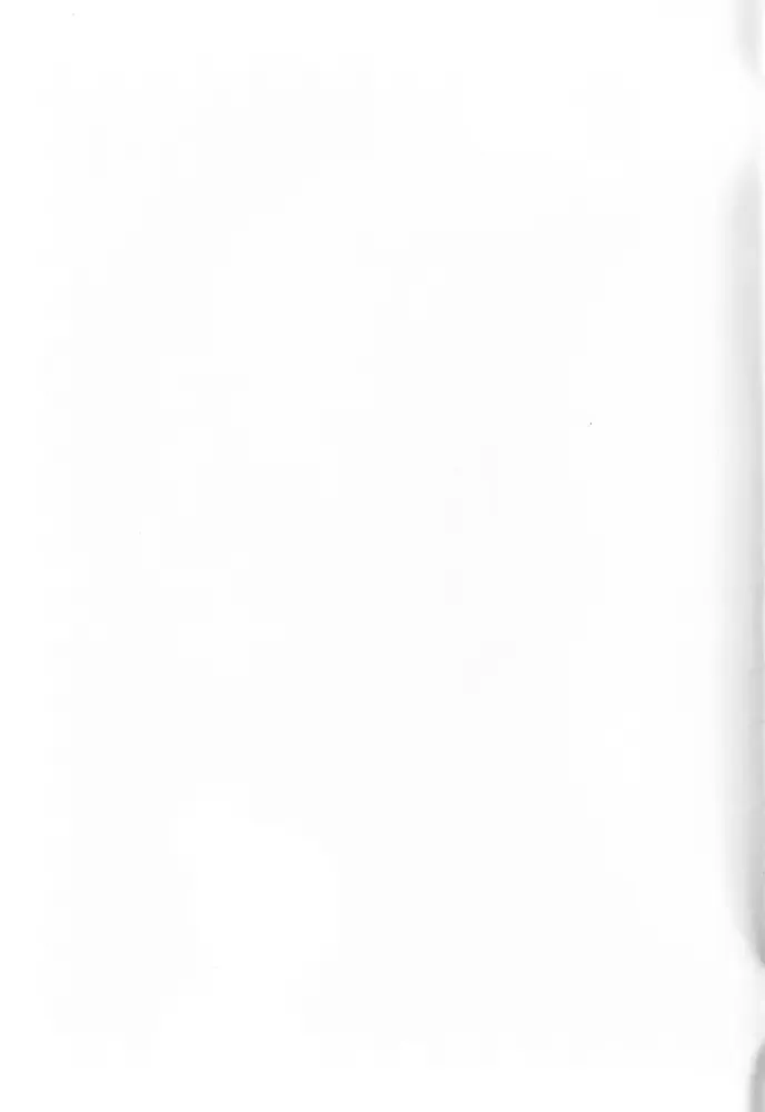 [Konsuke] Armanis no Hon Fhentai - Page 19