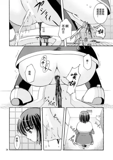 [Satomi Hidefumi] Bou Yuumei Koukou Joshi Toilet Tousatsu 2-jigen Bishoujo Hen Vol. 1, 2 Complete Edition Fhentai.net - Page 36