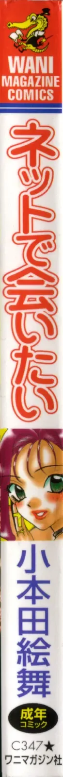 [Komotoda Emai] Net de Aitai Fhentai - Page 2