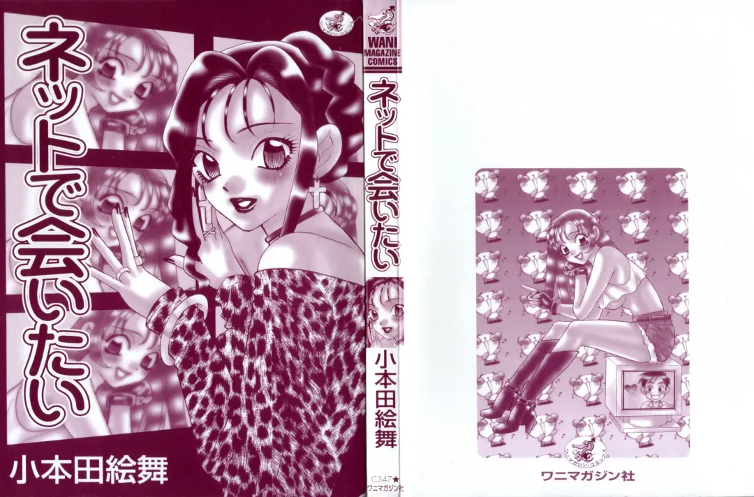 [Komotoda Emai] Net de Aitai Fhentai - Page 6