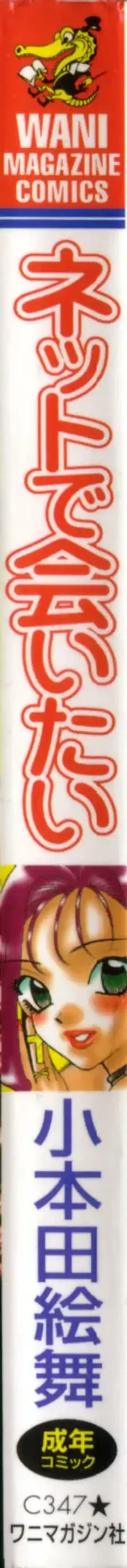 [Komotoda Emai] Net de Aitai Fhentai - Page 2