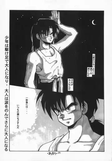 [Johnny] Harem Yarou Fhentai - Page 24