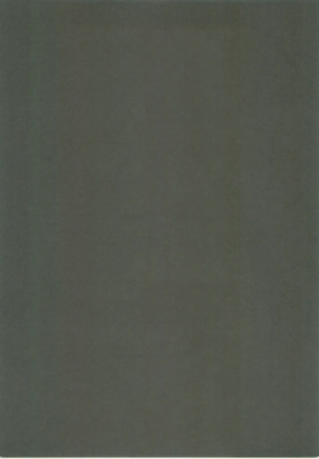 [Rikka] Icha Icha Fhentai - Page 23