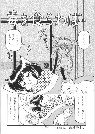 Hyper Police Inga Ouhou Fhentai - Page 29