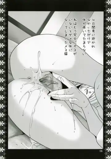 [Ootsuka Kotora] Mithra Choukyou Enikki Fhentai - Page 27