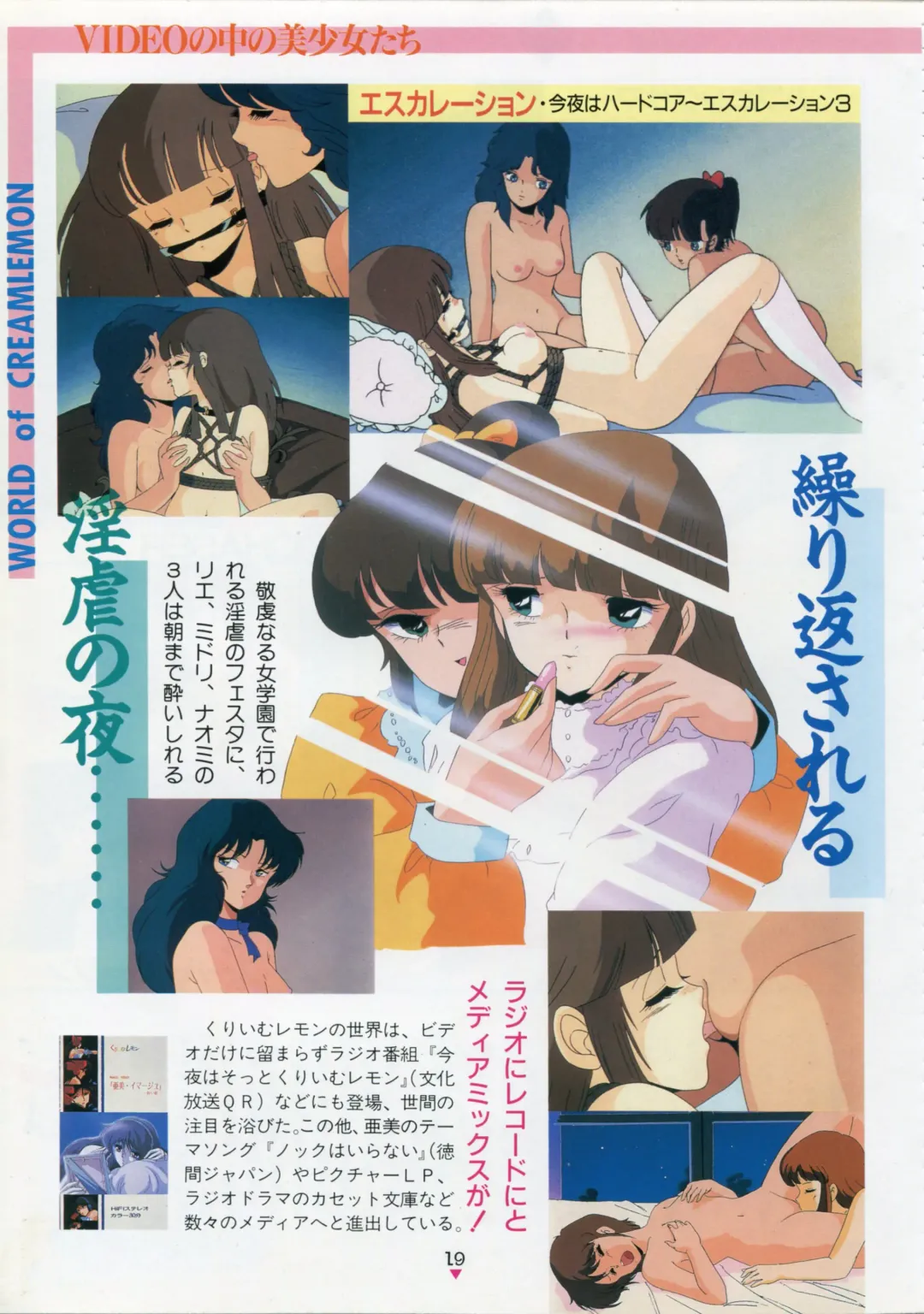 [Kazuneko - Nekojima Lei - Yamamoto Naoki] Bishoujo Anime Daizenshuu - Adult Animation Video Catalog 1991 Fhentai - Page 15