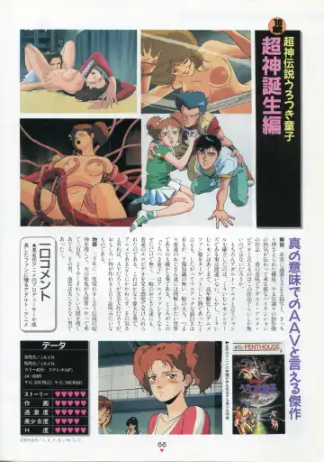 [Kazuneko - Nekojima Lei - Yamamoto Naoki] Bishoujo Anime Daizenshuu - Adult Animation Video Catalog 1991 Fhentai - Page 62