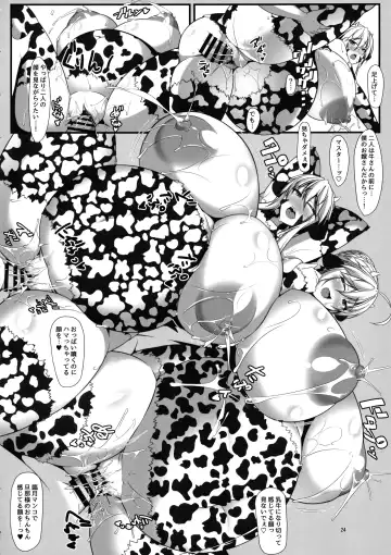 [Tetsubirei] Souou to Maguau Fhentai - Page 23