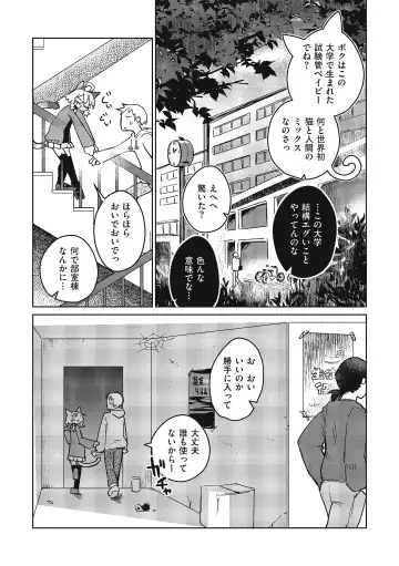 [Masha] Mix Cat Fhentai - Page 3