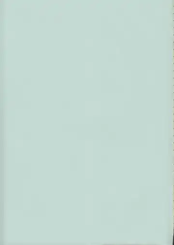 [Raiden] Peperoncino Fhentai - Page 28