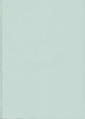 [Raiden] Peperoncino Fhentai - Page 3