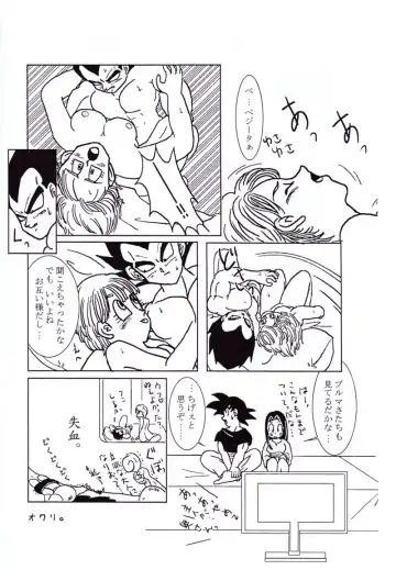 Vegeta and Bulma Love Fhentai - Page 13