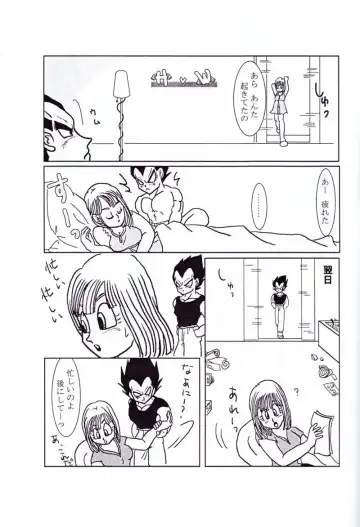 Vegeta and Bulma Love Fhentai - Page 14