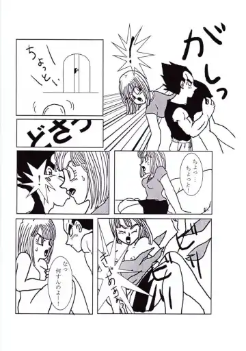 Vegeta and Bulma Love Fhentai - Page 15