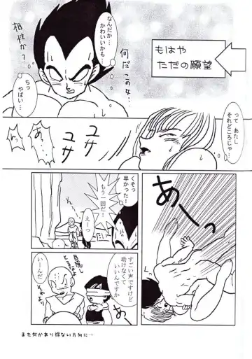 Vegeta and Bulma Love Fhentai - Page 22