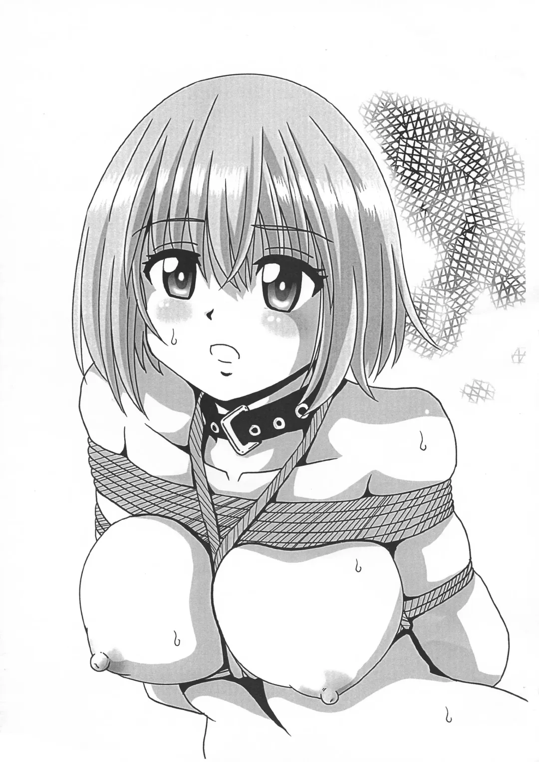 [Sahara Ikkou] Yami no Joou wa Nemuranai Copy 1 Fhentai - Page 3