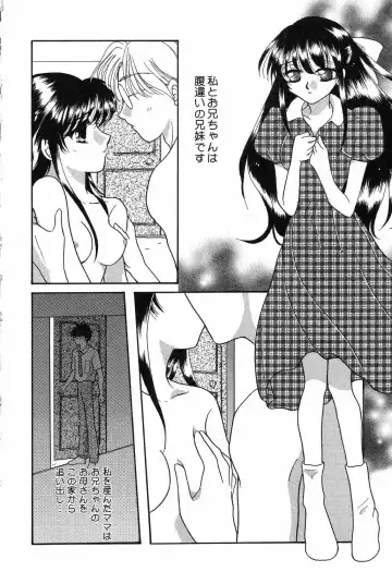 [Ruka Hikaru] Ayu ni Omakase Fhentai - Page 157