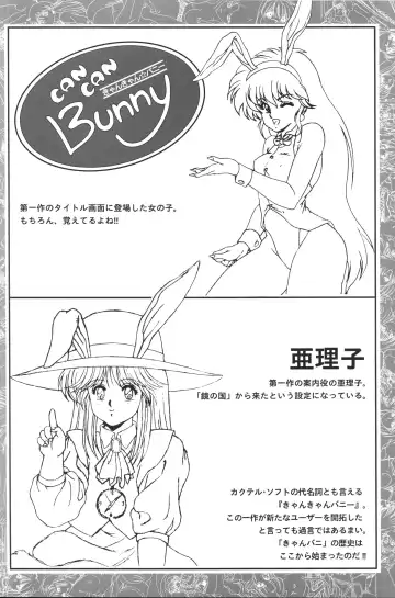 [Shikato Miyo - Shiratori Reiko - Yoshizane Akihiro] CAN CAN BUNNY OFFICIAL ART BOOK Fhentai - Page 12