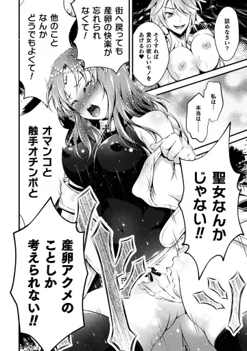 [Akki] Seijo Injoku Fhentai - Page 30