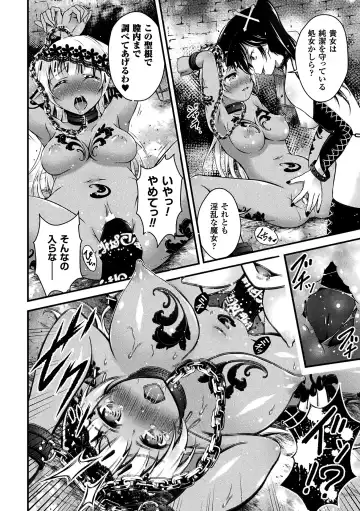 [Akki] Seijo Injoku Fhentai - Page 66