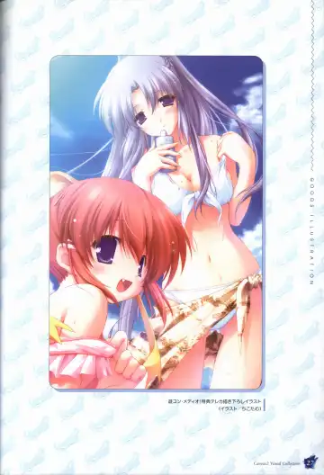 [Nanao Naru] CANVAS2 Collection Art Book Fhentai - Page 28