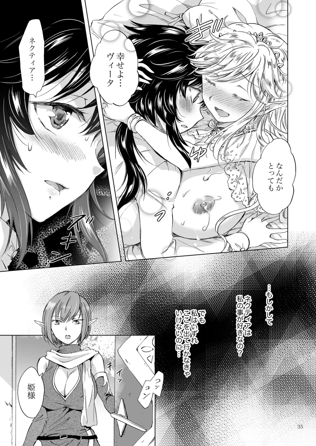 [Mira] Seinaru Chichi no Elf Hime Fhentai - Page 35