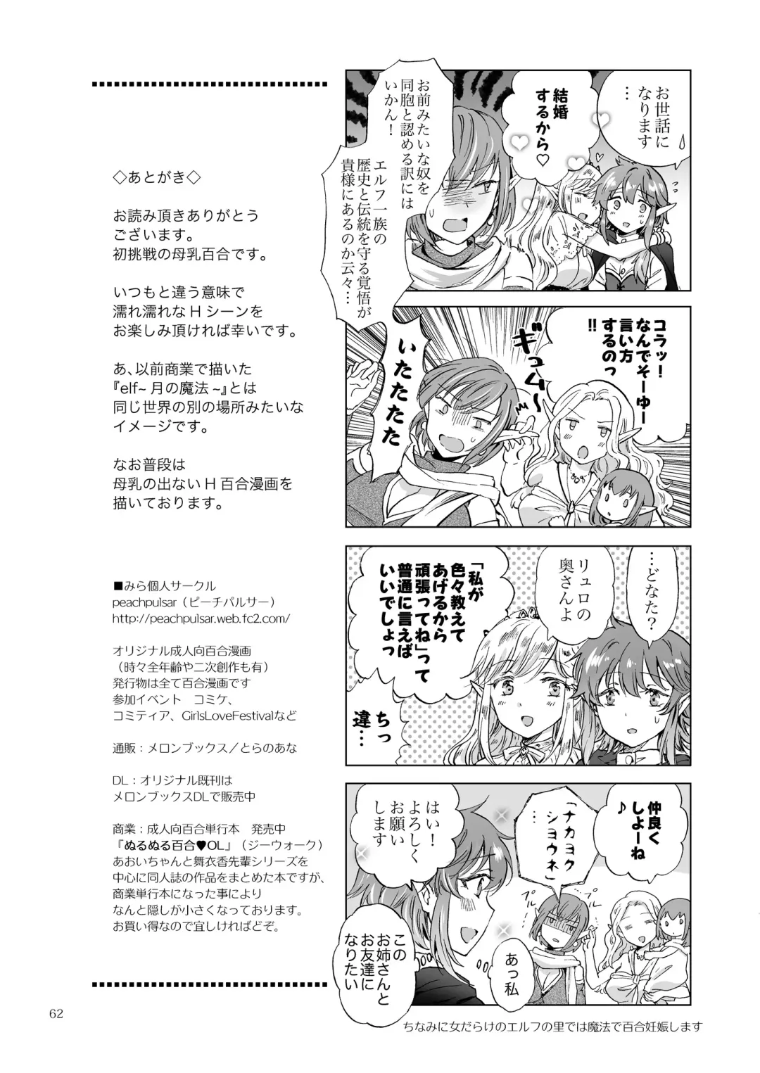 [Mira] Seinaru Chichi no Elf Hime Fhentai - Page 62